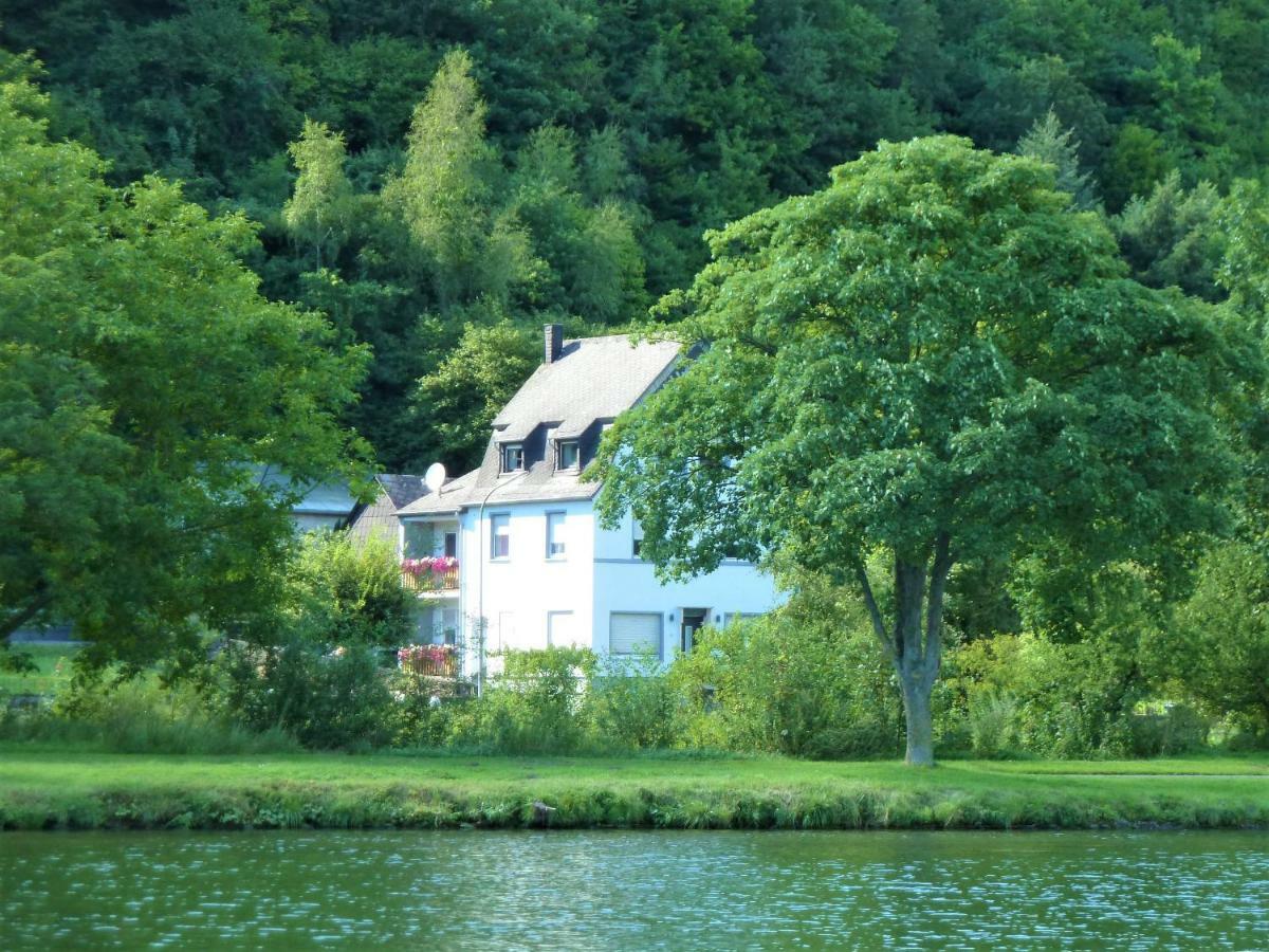 Haus Moselwiese 알프 외부 사진